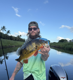 Fly fishing for Peacock Bass under partly cloudy skies in Delray Beach!