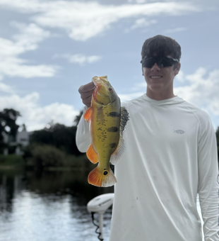 Hooked a trophy Peacock Bass on the fly at Lake Ida!