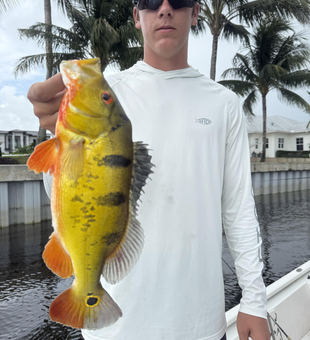 Reeling in an impressive Peacock Bass at the picturesque Lake Ida!