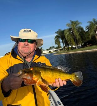 Peacock Bass fishing in Delray Beach, FL—fast action in urban waters.
