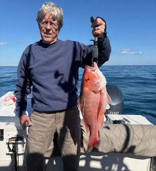 South Carolina Red Snapper catch