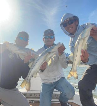 Fort Myers Snook action early morning trip