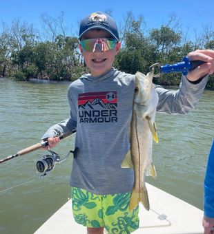 Even kids loves snook catches