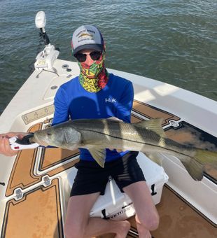 Mid day long Snook catch.