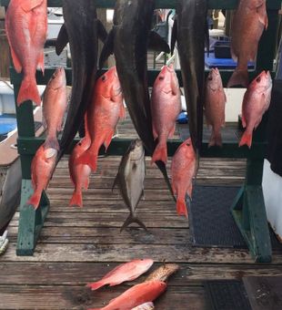 Creating lasting memories aboard our Panama City fishing trip.