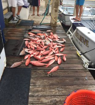 Another successful day on the water with great guests.