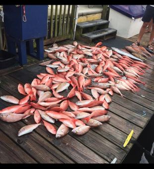 Panama City continues to deliver unforgettable fishing days.