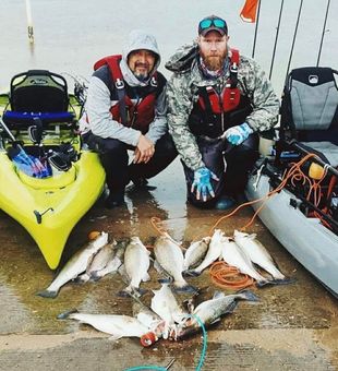 Epic kayak speckled trout haul.