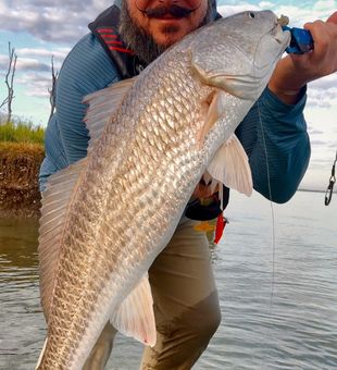 Capt and hid Big Red Catch! - Crosby, TX.