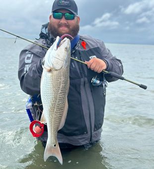 Unlimited Reds - Crosby, TX.