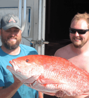 Reel your own Redfish in the Gulf of Mexico