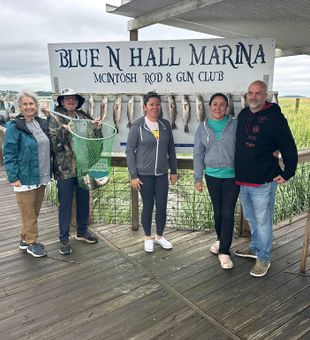 Quiet mornings on the Darien water