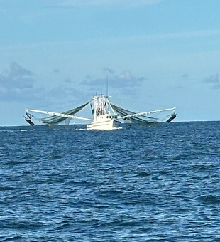 Partly cloudy skies set the stage for epic deep sea adventures in Darien!