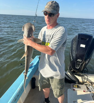 Nice Dusky Smooth-Hound on heavy tackle today!