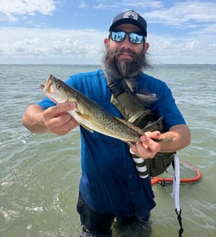 Beautiful speckled trout from Port Mansfield waters!