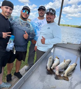 Port Mansfield speckled trout filling up the cooler!