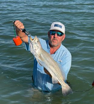 Exploring the shallow waters of South Texas.