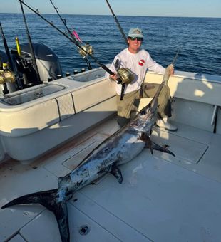 Offshore giants in the Gulf