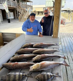 Bayou bounty!