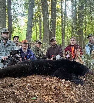 Black Bear Down-Sebago, Maine