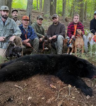 Black Bear Down-Sebago, Maine