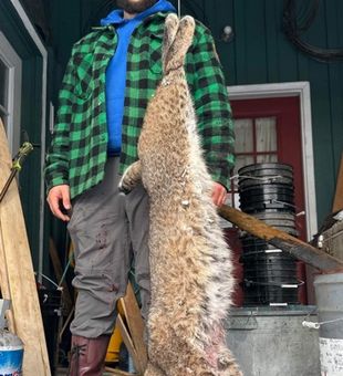 Maine Guided Hunts