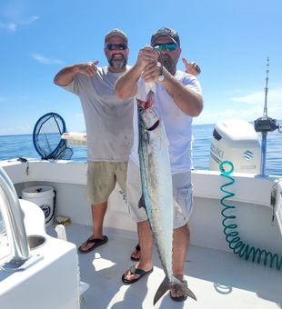 Sleek Majesty: Exploring King Mackerel
