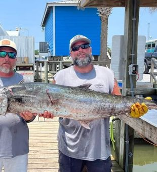 King Mackerel in Dauphin Island