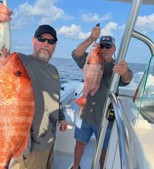 Gulf Coast Charm: Dauphin Island Snapper Fishing