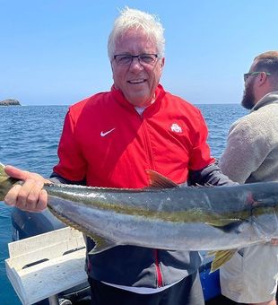 17lb Yellowtail on a 20lb bass rod 