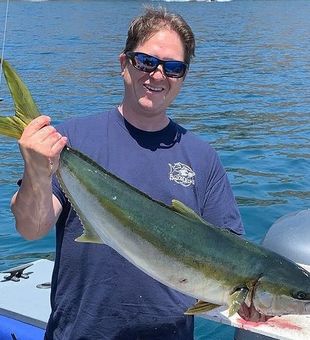 15lb Yellowtail 