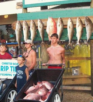 Feel the Fun Rise on Fishing Charters Orange Beach