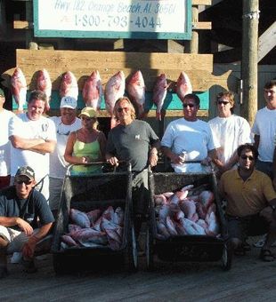 Sunrise-Sunset : Orange Beach Fishing Trip Awaits!