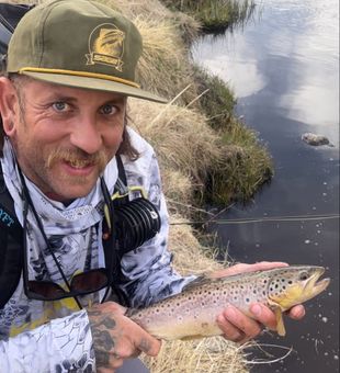 Epic Trout Fishing In Arizona!