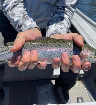 Amazing Trout Display in Arizona fishing!