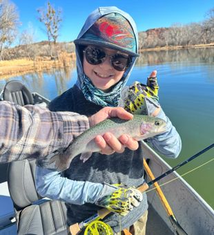 Fly Fishing Adventures In Arizona!