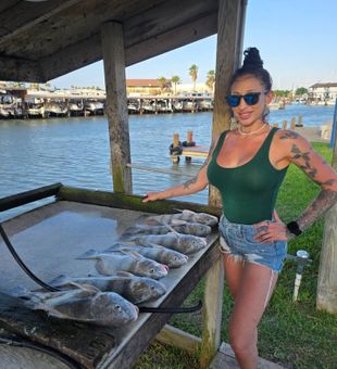 Productive black drum fishing haul