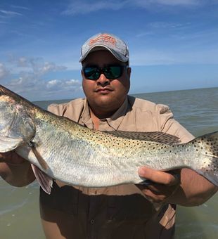 Solid Speckled Trout catch in Galveston!