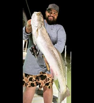 Monster Trout reeled in from Night fishing trip in South Padre Island, TX.