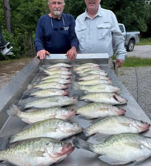 Enid Lake catches early morning.
