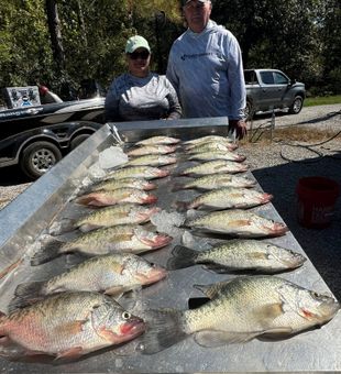 Enid Lake crappie charters