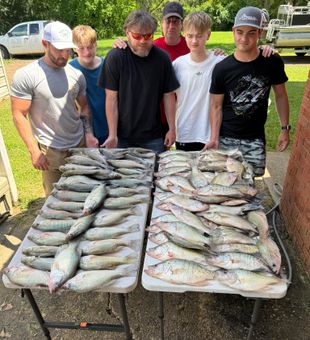 Enid Lake delivers again!
