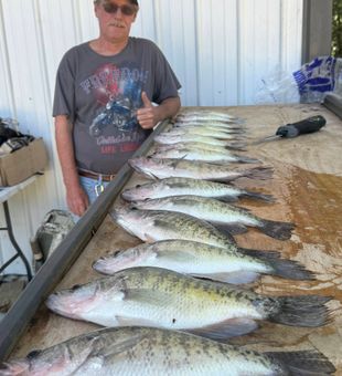 Mississippi guided fishing tours