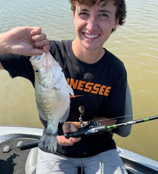 Enid lake local fish, simply beautiful.