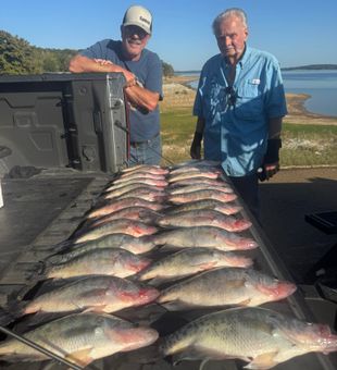 Loaded crappie limit haul