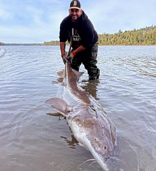 Explore BC Fishing Bliss Today