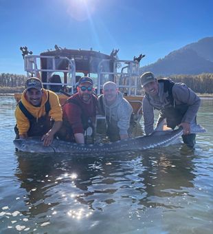 Sturgeon Spectacle: BC's Pride