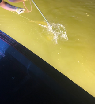 Great bow fishing action on the water today!