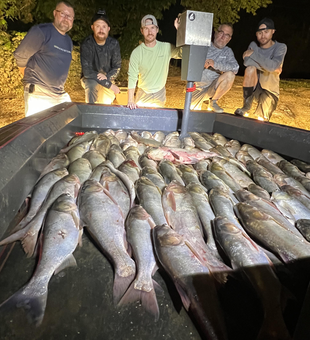 Blasted today with huge catches in Greene County's clear waters!