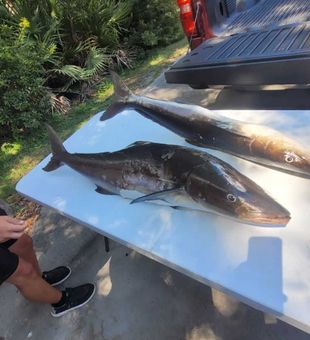 Catch of the day in St. Marys waters!